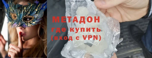 прущие грибы Аркадак