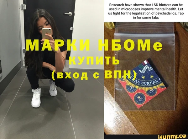 прущие грибы Аркадак