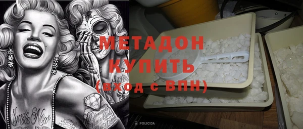 прущие грибы Аркадак