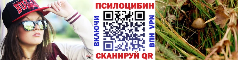 мориарти какой сайт  Артёмовск  Галлюциногенные грибы прущие грибы 